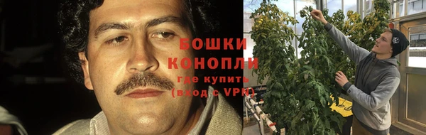 героин Алзамай