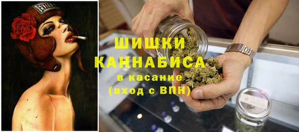 ПСИЛОЦИБИНОВЫЕ ГРИБЫ Няндома